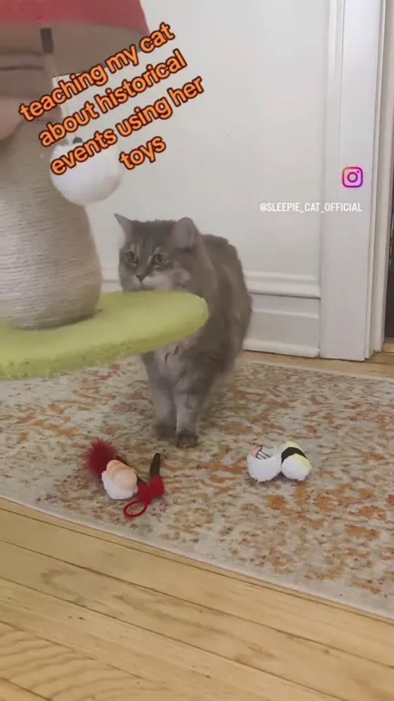 Cat Learns About Hiroshima