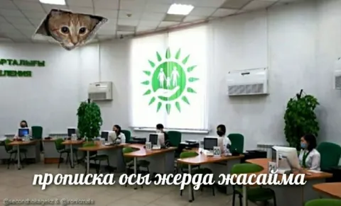 Пропуска осы жерде жасайма