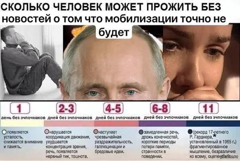 Жизнь без новостей о мобилизации