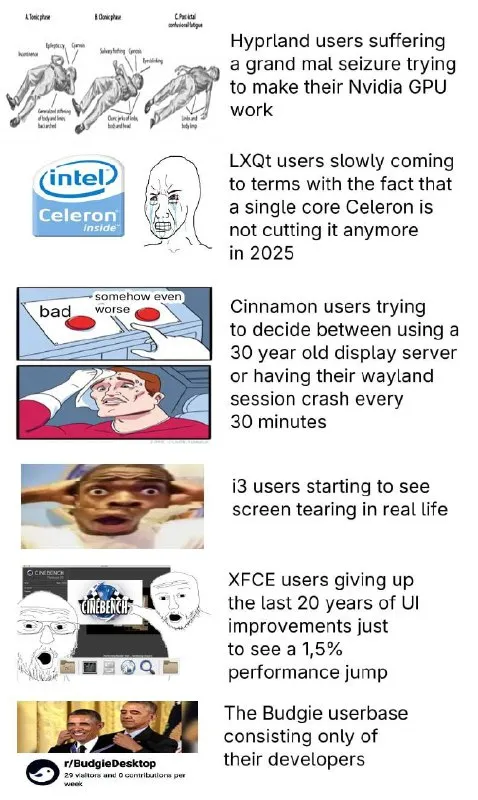 Linux Desktop Users Suffering