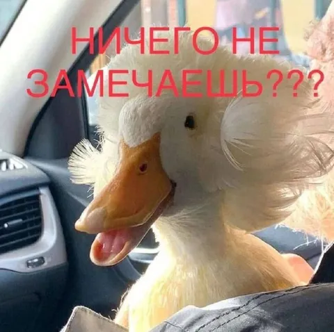 Ничего не замечаешь