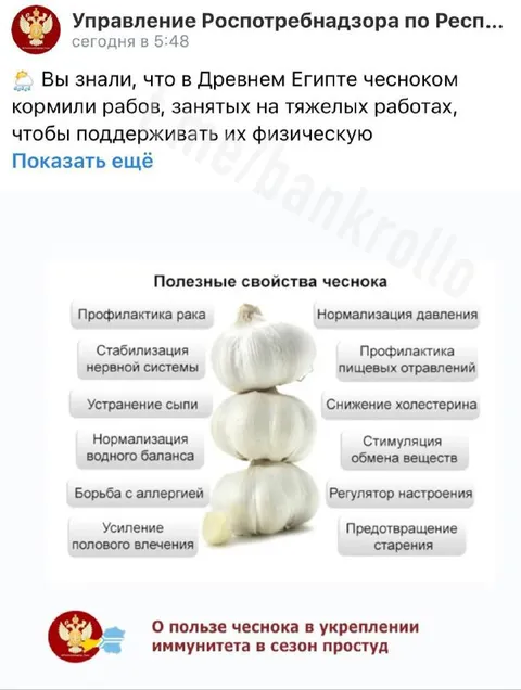 Полезные свойства чеснока