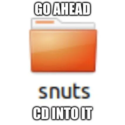 Go Ahead, Snuts CD Into It