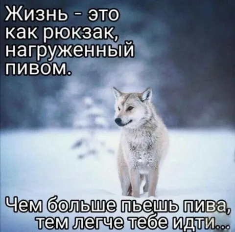 Рюкзак, нагруженный пивом