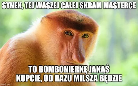 Synek i bombonierka dla teściowej