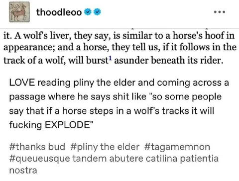 Pliny Says Horses Explode