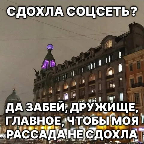 Когда соцсеть важнее рассады