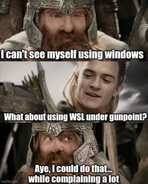 Gimli Discovers WSL