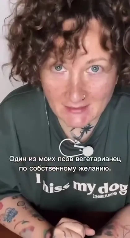 Вегетарианец ест собачий паштет