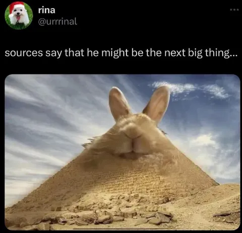Rabbit Pyramid Next Big Thing