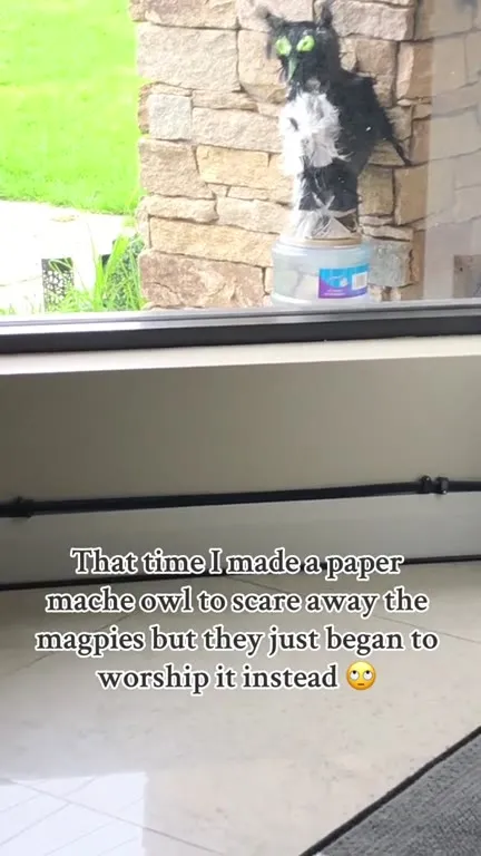 Magpies Worship the Paper Owl