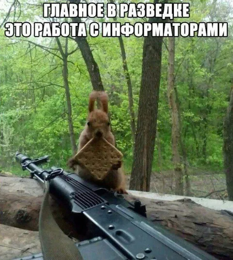 Работа с информаторами
