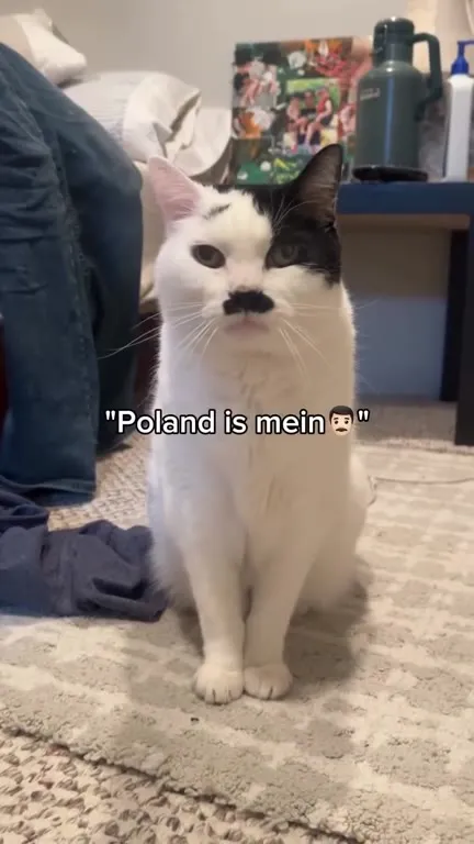 Cat Says Poland Is Mine