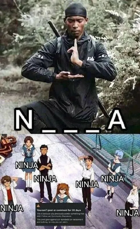 Ninja Among the Ninjas