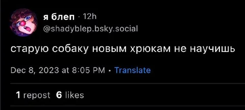 Старую собаку новым хрюкам не научишь