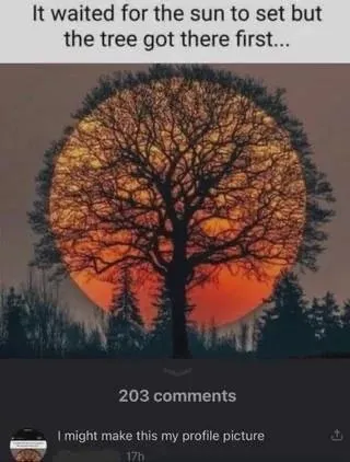 Tree Got There First