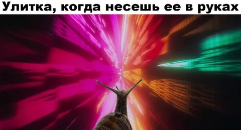 Улитка на сверхскорости