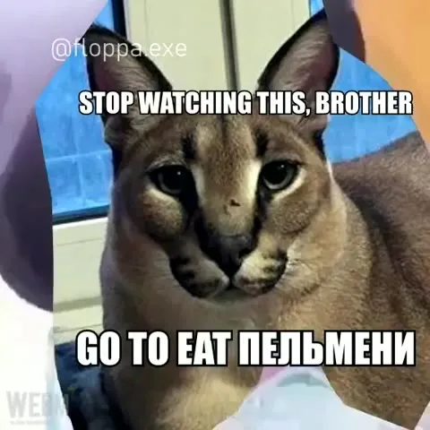Go Eat Пельмени, Brother