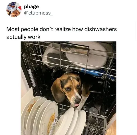 How Dishwashers Actually Work
