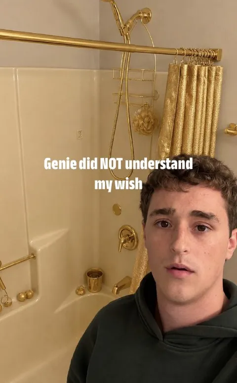 Genie Misunderstood My Wish