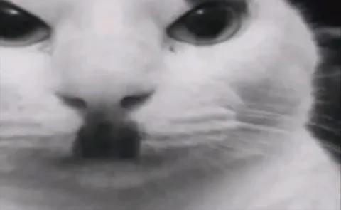 Top 3 Kitler List