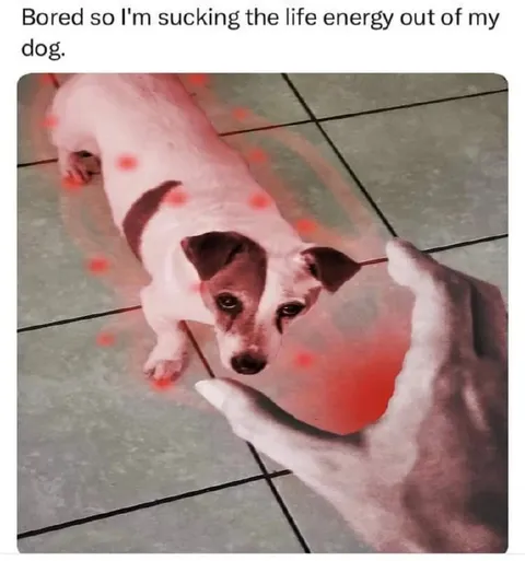 Sucking the Life Energy Out of My Dog