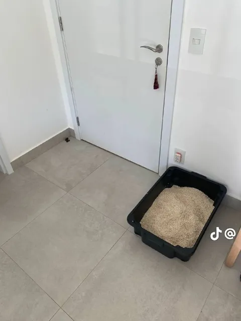 Лоток у закрытой двери