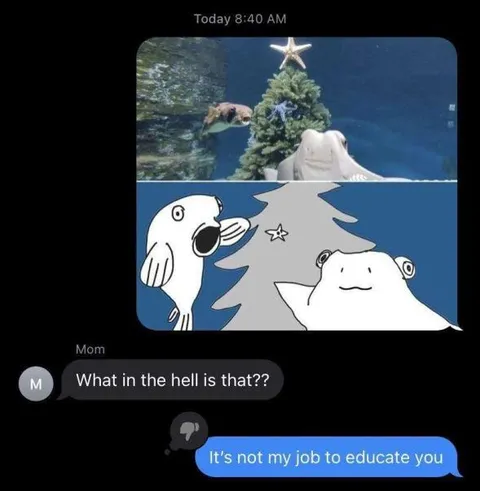 Not My Job to Educate You