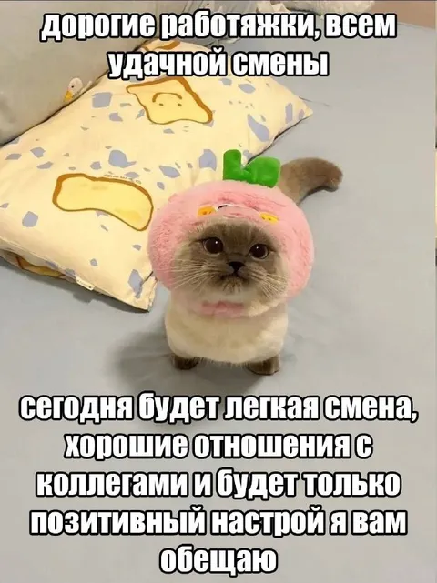 Лёгкая смена с позитивным настроем