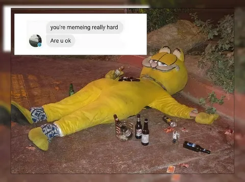 Drunk Garfield Memeing Hard