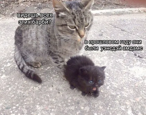 Кот и маленькая Уэнсдэй