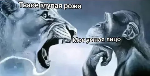 Твоя глупая рожа и моё умное лицо