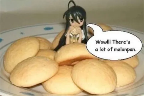 A Lot of Melonpan
