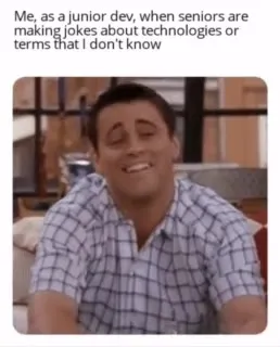 Junior Developer Pretending to Understand