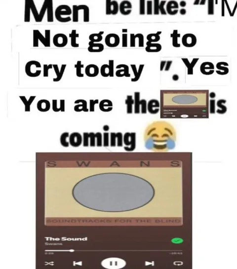 Men Be Like: Swans Is Coming