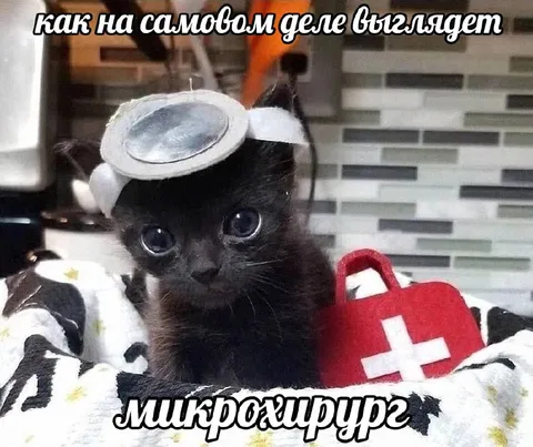 Как выглядит микрохирург