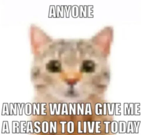 Anyone Wanna Give Me A Reason