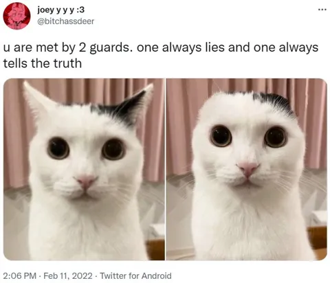 Two Guards, One Truth