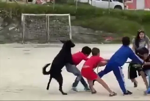Тянучка с собакой