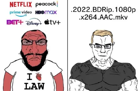 Streaming Services Versus Piracy