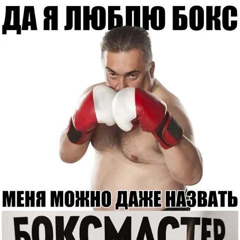 Я люблю бокс