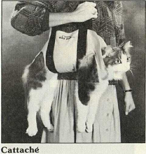 Cat in a Baby Carrier
