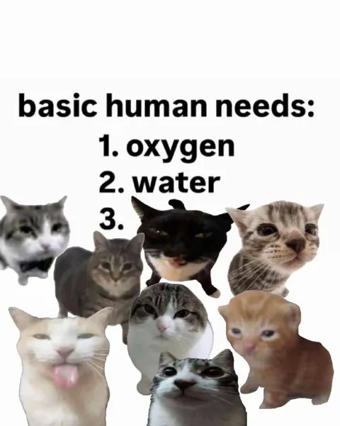 Basic Human Needs: Cats
