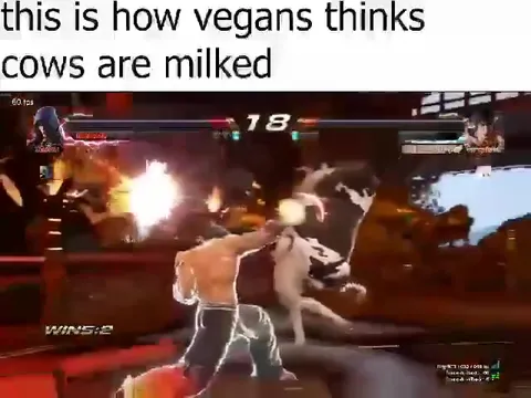 How Vegans Think Cows Are Milked