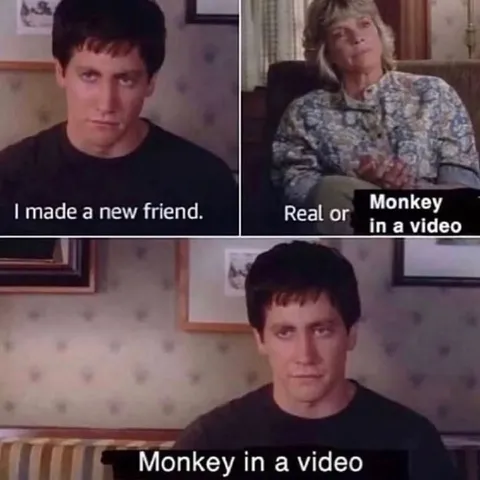 Monkey in a Video