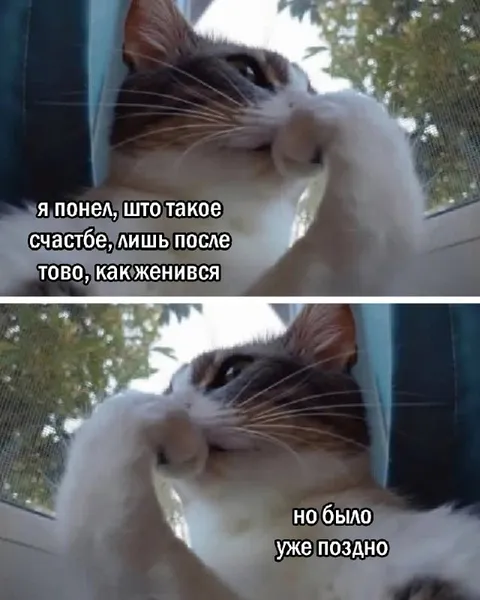 Счастье после женитьбы
