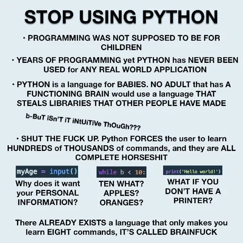 Stop Using Python Brainfuck Meme