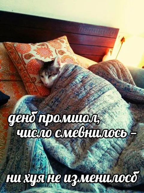 День прошёл, ничего не изменилось