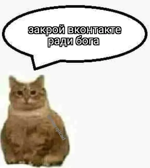Закрой ВКонтакте ради бога