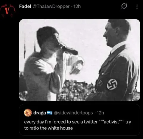 Twitter Activist Tries to Ratio Hitler
